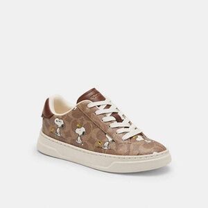 Coach X Peanuts High Line Sneaker In Signature Canvas With Snoopy Print Size 8
